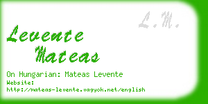 levente mateas business card